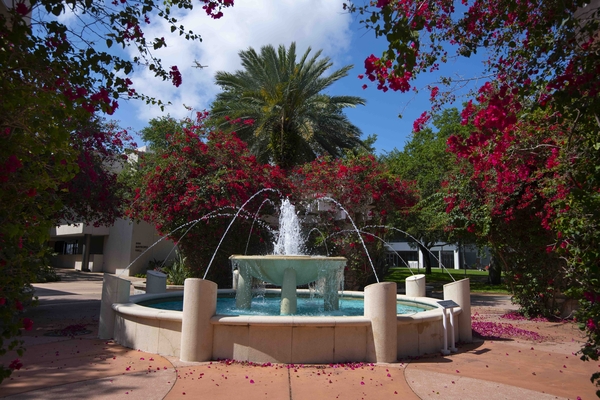 Fountain on USF St. Petersburg campus