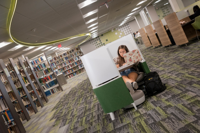 Student studying in library