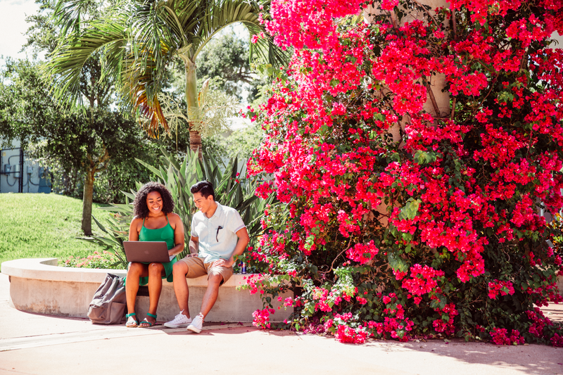 Students sitting in front of palm trees and bouganvillea