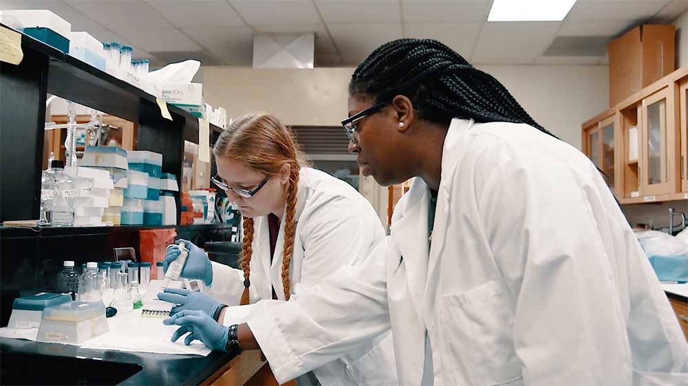 Two students in a lab