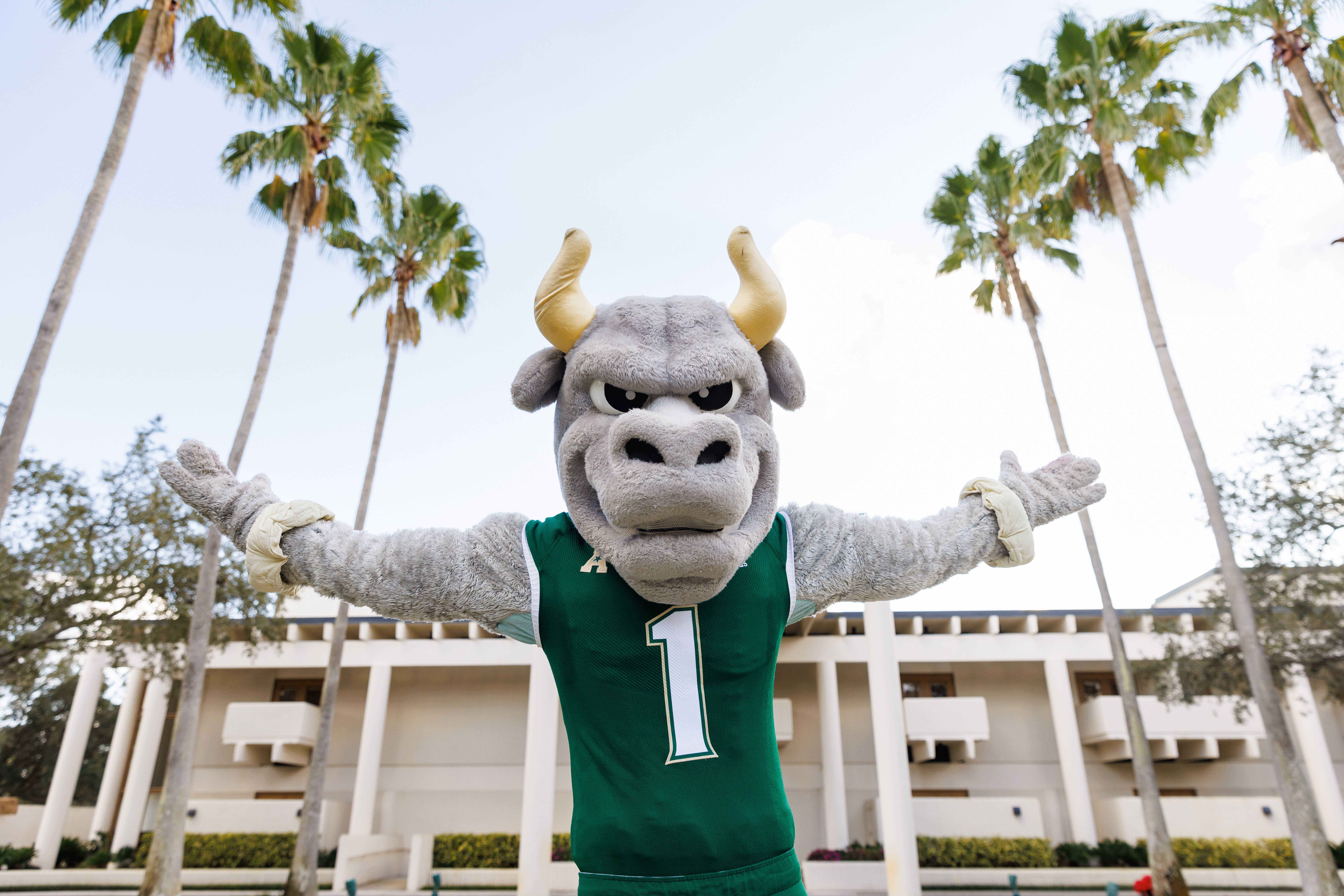 Rocky the Bull opening welcoming arms