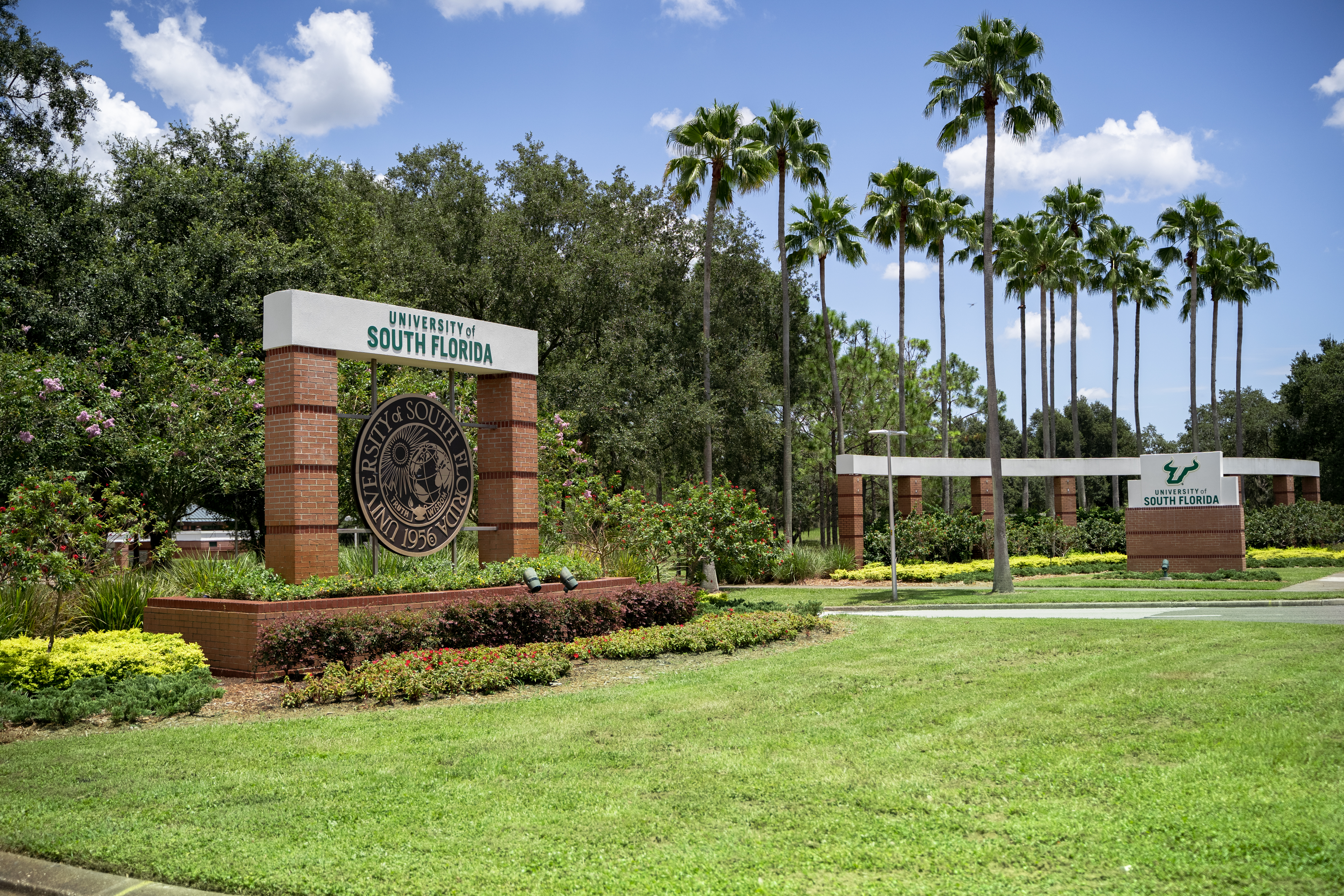 USF signage flanked by bushes and flowering shrubs